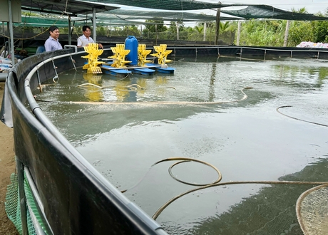 nuoi ca chot 1 16627835503051874750133