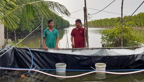 nuoi tom 1 1662976943871153202203