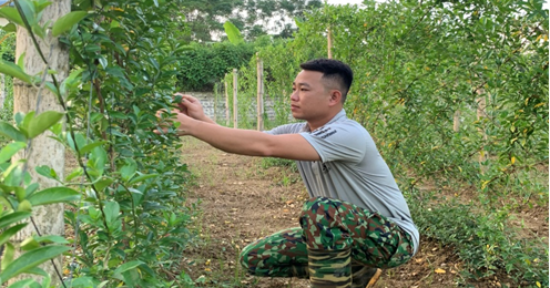 14 10e1baa3nhdc6b0e1bba3clie1bb87u2 1666255479111 16662554792292075820944 170 0 430 496 crop 1666255913647988332320