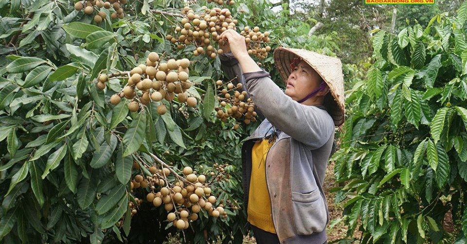 3946 kt 1 1665898827366 1665898827914442846271 106 0 609 960 crop 16658990676892049459881