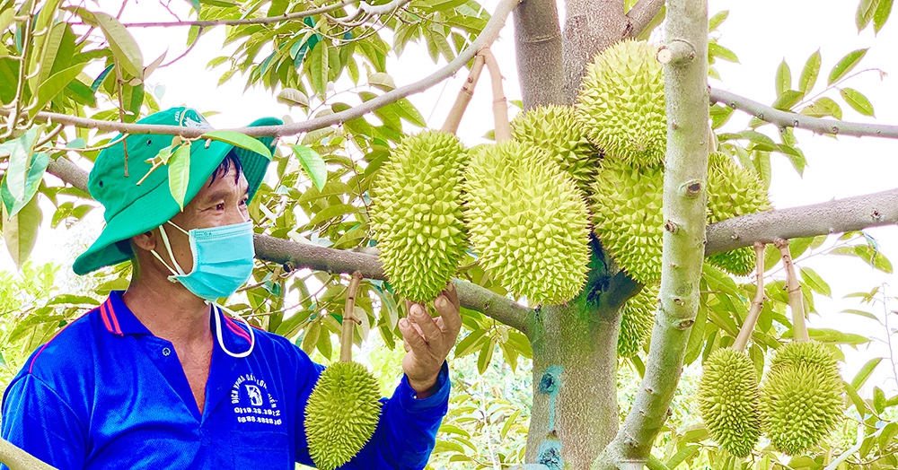 4 41 1665936558362 16659365591201777278200 0 0 524 1000 crop 16659369979201593096884