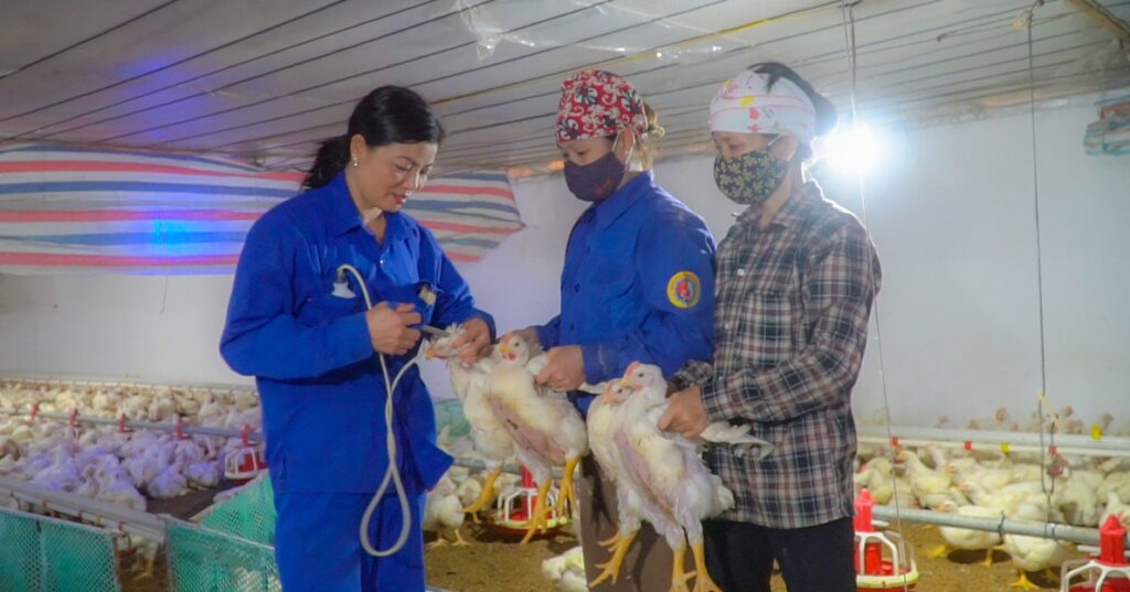 c0109t01 1664849403301816229062 63 0 686 1189 crop 1664850036379905021436