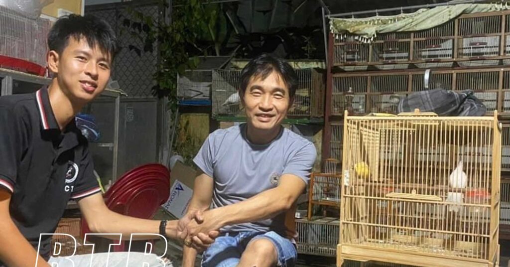 Rời Hà Nội về quê Thái Bình nuôi chim chào mào đột biến, 9X Thanh Tùng đút túi tiền tỷ 1 chaomao221534504072022 1667060957859 1667060958165542928454 0 0 1047 2000 crop 16670612643061384075139
