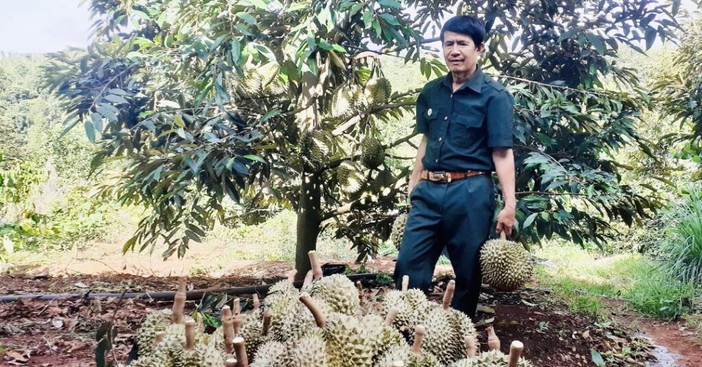 images31897491 1665811116691 16658111170281630611869 0 0 564 1078 crop 1665811416697315433875