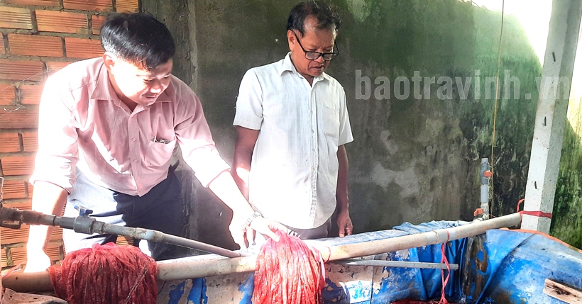 Nuôi lươn không bùn, thò tay xuống là đụng toàn con to, bác nông dân Trà Vinh trúng lớn 1 ring2 1666353097785 16663530981011277391465 0 0 429 820 crop 16663534561641667919644
