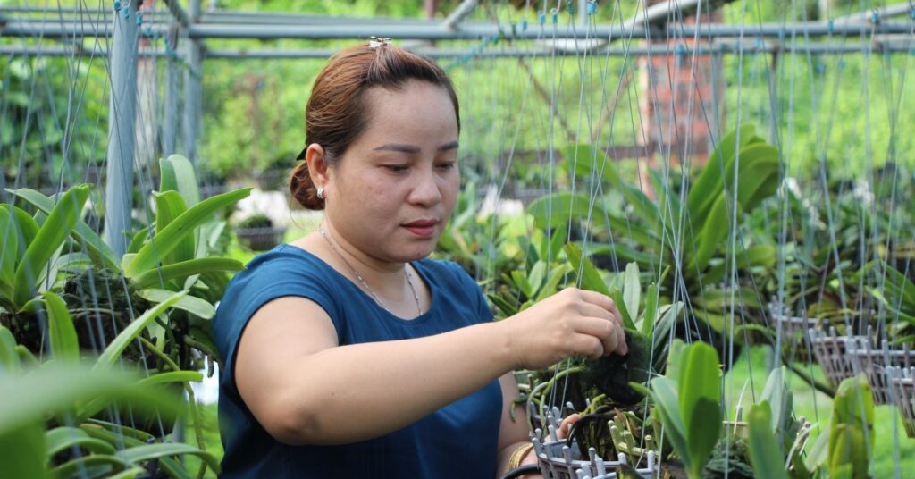 trong hoa lan hoang nhan 16666173736931855186217 226 0 1231 1920 crop 1666617522971405126839