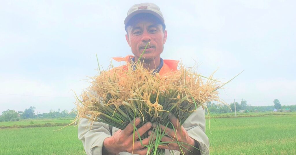 Trồng hành lá thơm khắp đồng, cả làng ở Hà Tĩnh trúng lớn khi giá hành lá tăng cao chưa từng thấy 1 z3824664245182 c5886e17dbf8f3c1846c987bd6b62cc7 16666644404741552462926 275 127 1125 1751 crop 16666644544531824594993