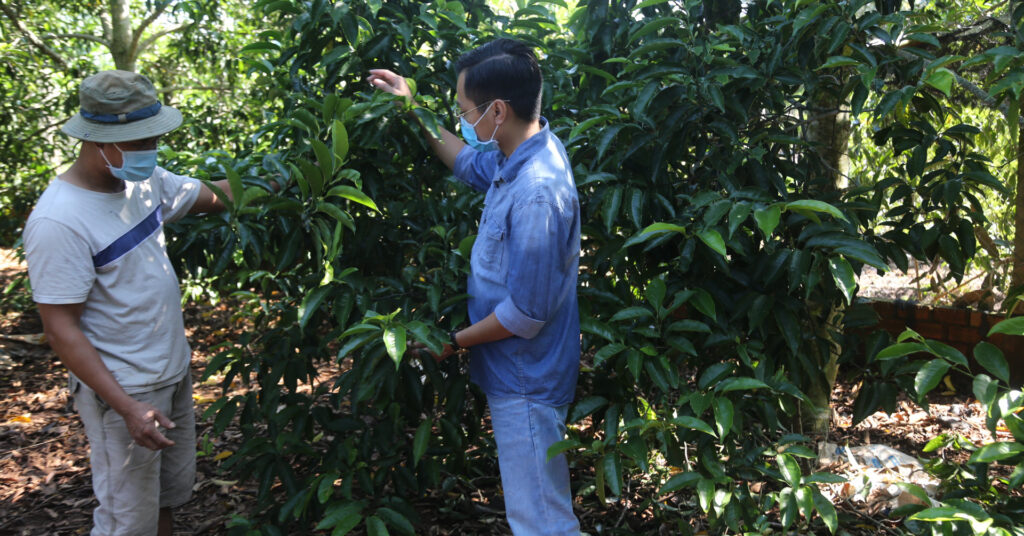 1668599337 img6916 1635809950979706601901 179 0 1184 1920 crop 16358104247252067978921