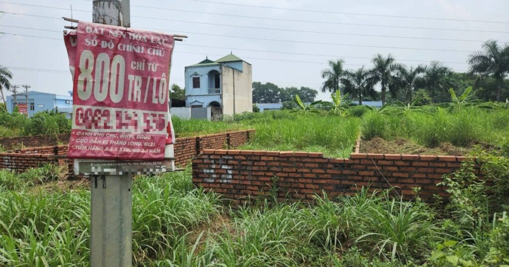 3111201244197338303166616046033371021156087n edited crop 1668611720386