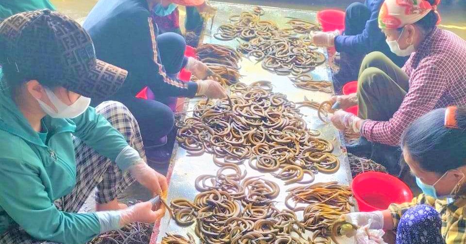 Một nông dân Nghệ An đổi đời nhờ nghề nuôi lươn đồng, chế biến lươn thành món đặc sản 1 315012807 652640253076769 8331925308457973113 n 166904160163865659154 219 0 722 960 crop 16690416202761276358968