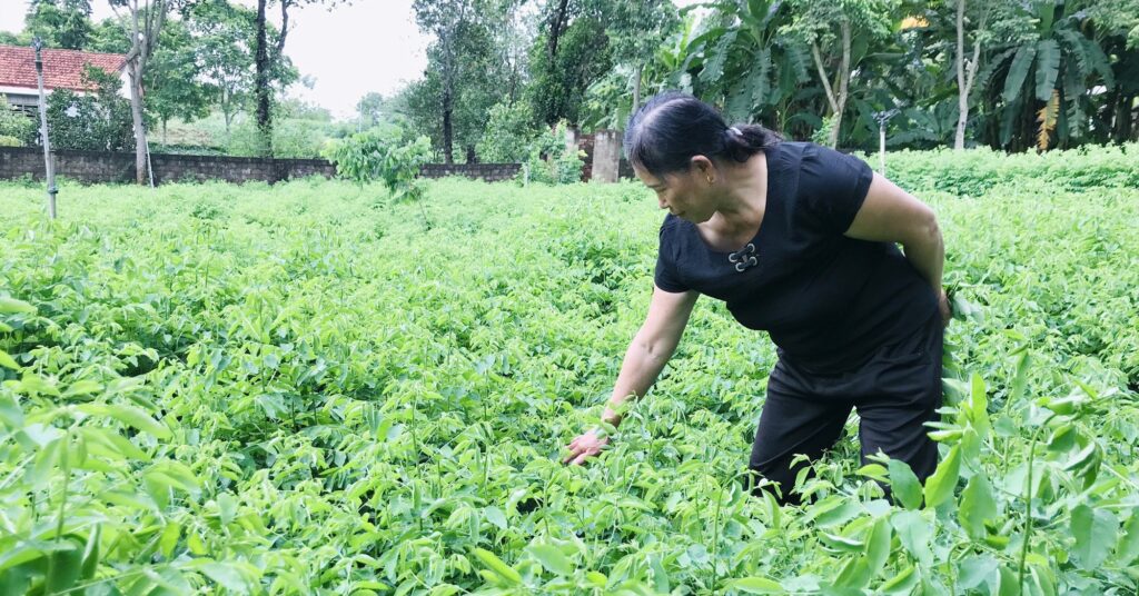 9b33da2a494e8d10d45f637982501843756895 1668342485554 1668342485883751364361 99 0 1146 2000 crop 1668342815612514388359