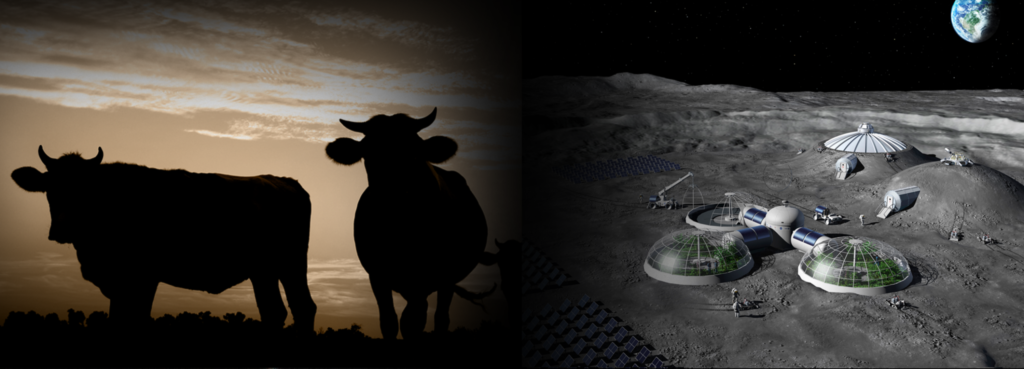 Cultured meat as novel space food pillars