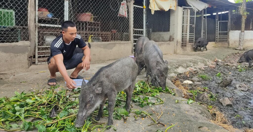 anhphamvankhanhdangchamsocdanlonrungthuanchung2022103115511520221114200055 1668751150091 1668751150694239118771 360 0 1365 1920 crop 16687514961021930847837