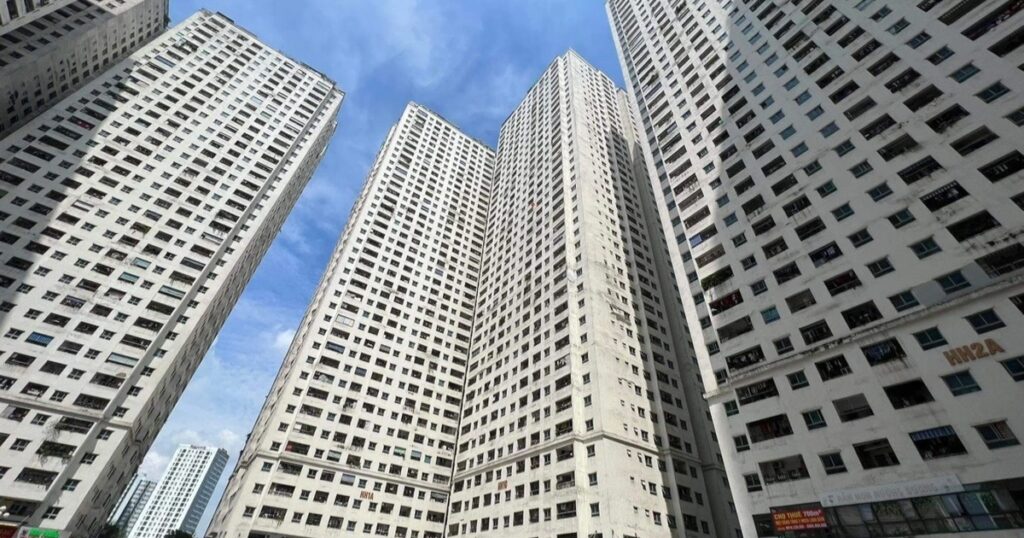 bds crop crop 1668807651857