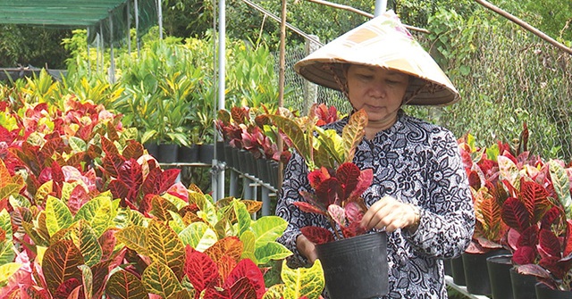 dt3 3 1668406769078 16684067699821298058772 7 0 342 640 crop 1668407112585827548538