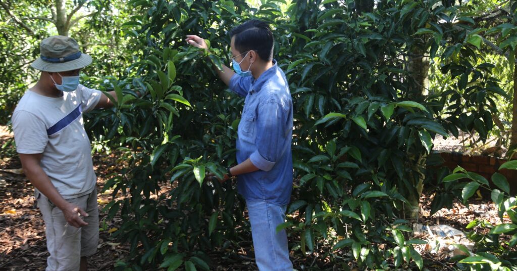 img6916 1635809950979706601901 179 0 1184 1920 crop 16358104247252067978921