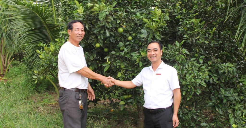 img8770 16680103293981748370478 365 200 1223 1839 crop 1668010718210198218032