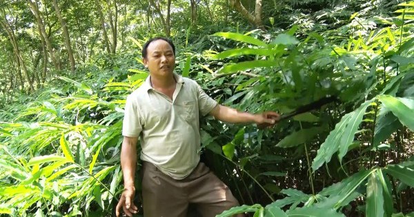 mc3b420hc3acnh20cc3a2y20sa20nhc3a2n20tc3adm 1668773021759 1668773022286917966397 23 0 337 600 crop 16687733866791342435969