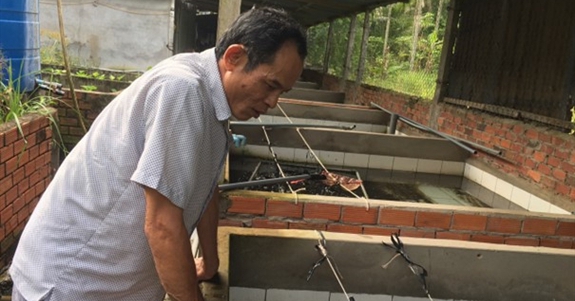 Nuôi lươn dày đặc trong chuồng, ông nông dân Hậu Giang bắt lên bán 180.000 đồng/ký 1 nuoi luon khong bun 1668238655236909428846 50 0 351 575 crop 16682388152151589125825