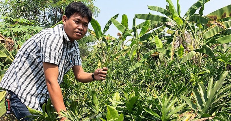 rau mop dac san 16686020819941822756555 4 0 423 800 crop 1668602103538430829726