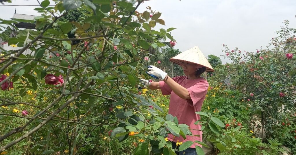 z342054391182064c746c0ad8501405c34e0674f633281 1668470633389 16684706339491072288757 0 0 556 1062 crop 16684710531051225926175