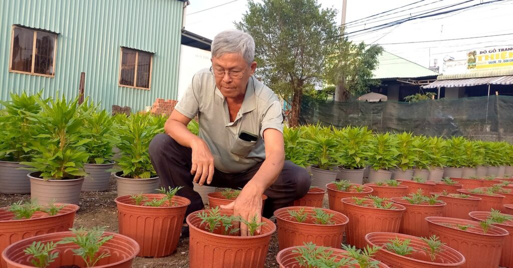 5 trong hoa van tho tet 1670889318378626370782 78 0 1125 2000 crop 1670889388063408313985