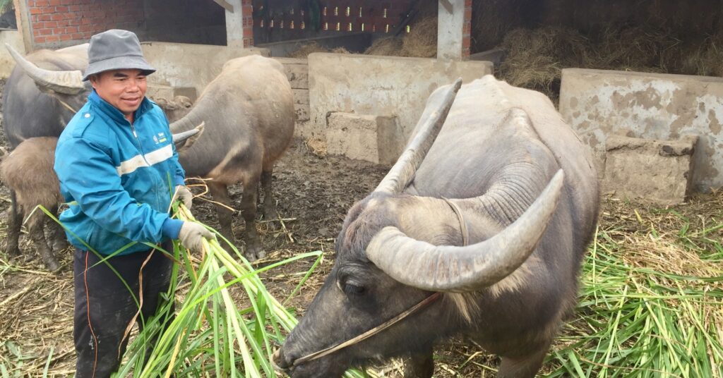 img 22032022103120433920221201063448 1670244711953 1670244712257122537513 296 0 1301 1920 crop 16702448612491065724856