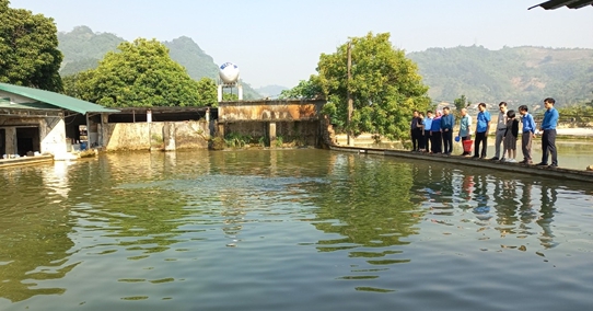 Nữ tỷ phú này ở Lào Cai nuôi con gì dưới ao mà bao người đến xem, năm nào cũng thu tiền tỷ? 1 nuoi ca giong 1672413843052334678801 0 88 284 630 crop 1672414079447176277322
