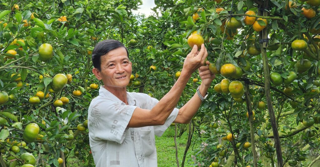 quyt hong lai vung 16708352768201192330802 0 0 1047 2000 crop 16708362984251367602029