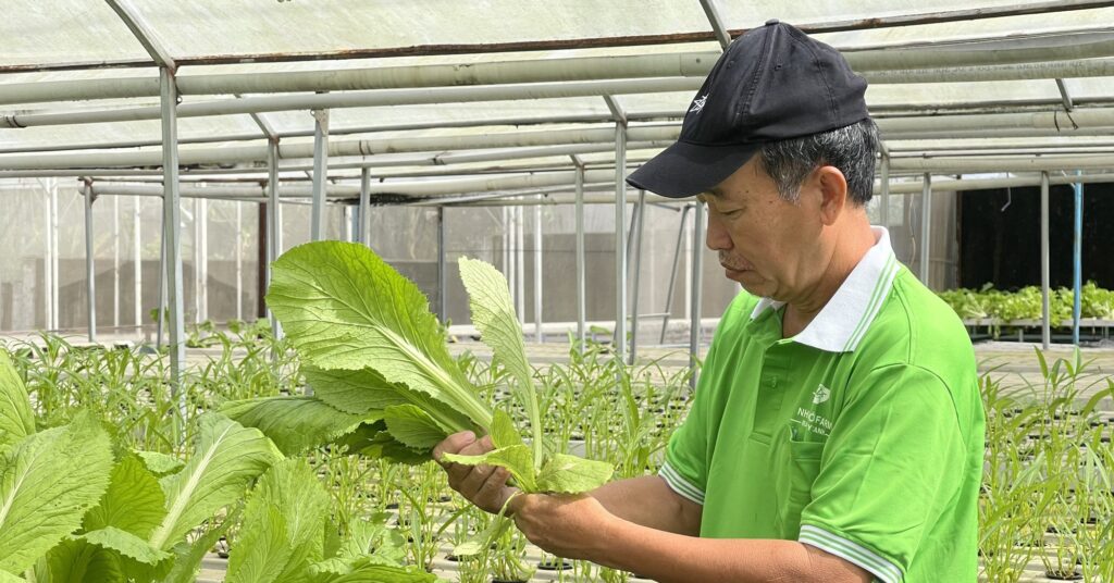 Trồng rau thủy canh kiểu gì mà chàng "nông dân phố" Đồng Nai thu nhập 150 triệu/tháng? 1 z3959172541399a31fdecb6242a9544deb985215c34c0c 16710087774331811563719 146 0 1193 2000 crop 16710092986771609235584