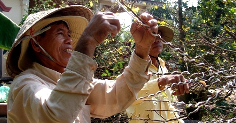Bài 1. Nghề sửa mai lắm công phu 1 3nghe sua mai 16738272333371353621146 90 0 509 800 crop 1673828110723815072498