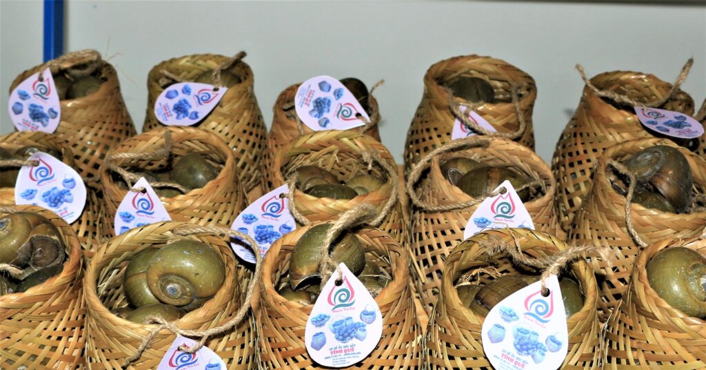 9 anh 2 1669729803669708206286 1672985679209 1672985679304203209131 0 0 1047 2000 crop 1672985833835706610778