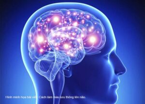 cach lam mau luu thong len nao