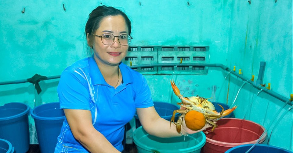 cua 2 1672850059299 16728500602821134086932 0 0 503 960 crop 1672850332547333521717