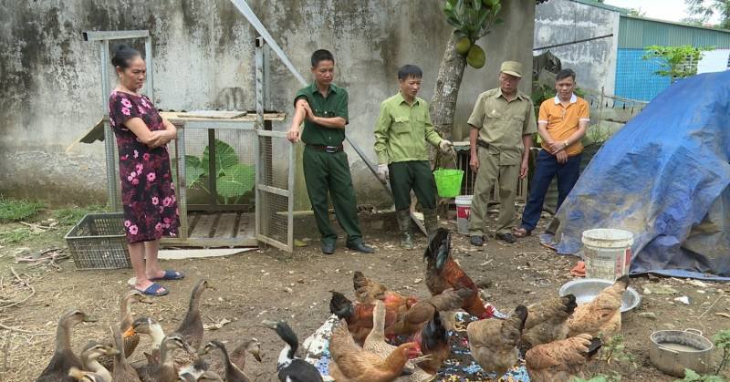 Nuôi giun quế ăn bẩn trốn ánh sáng, ông nông dân Lào Cai kiếm thêm bộn tiền 1 giunque1201 1672759978805 167275997896568415110 0 0 419 800 crop 16727608474251126229744