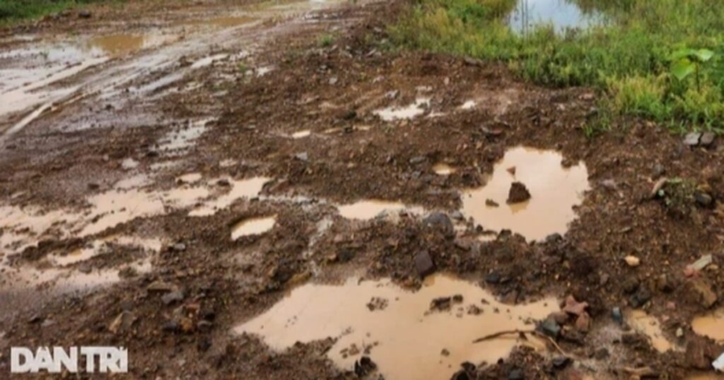 mua dat crop crop crop 1672827142939