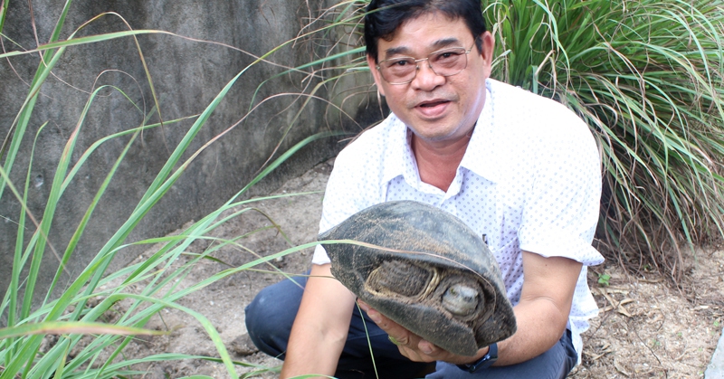 nguyen hoang hieu phu giao chan nuoi ban hoang da 0 16727457609931478401989 50 0 469 800 crop 16727466182701663460510