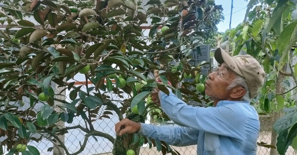 trong vu sua bonsai 1672501915523776118695 525 0 1530 1920 crop 16725027831041351395362