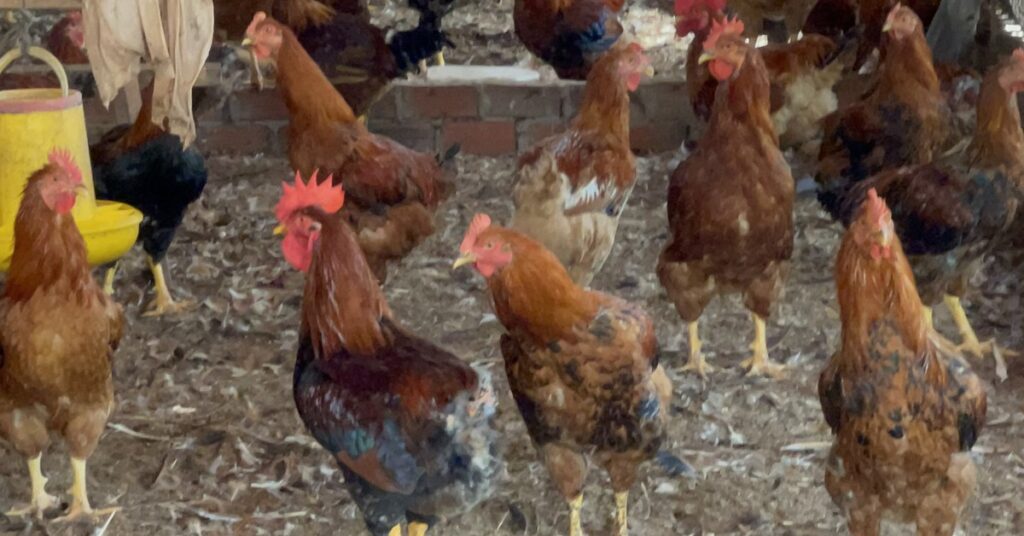 z403266473703933d67a0e7718858b10094699b348c132 16734922649081445833273 308 414 936 1614 crop 16734925588201389947033