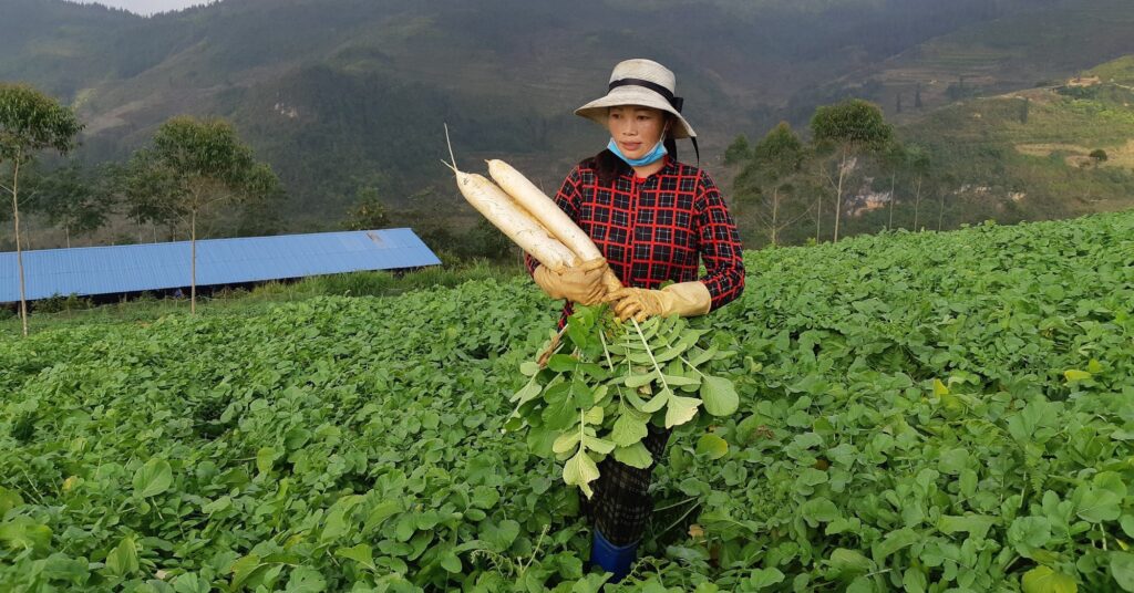 z403746132363042d0df72c17156b3d02431f4abaeeb3e 16738384734711342281225 453 0 1500 2000 crop 16738388606751669391595