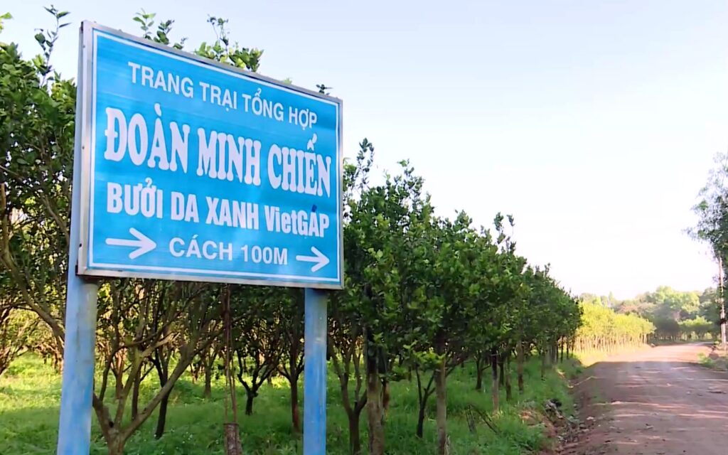 Khởi nghiệp khi đã già, một ông đại tá ở Bình Dương thu lãi 3 tỷ đồng/năm 1 3 2023 02 01t083535059 167531733668221188741 0 0 937 1499 crop 16753173971791014569715