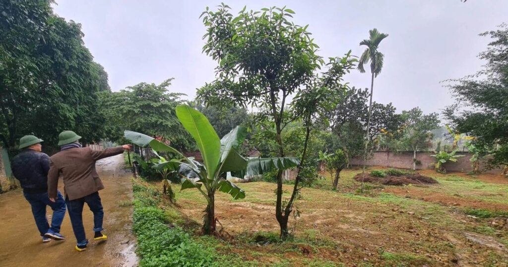 Hết Tết, nhà đầu tư rục rịch đi gom đất 1 3284878077002968881707764188609159210034319n edited crop 1675218651325