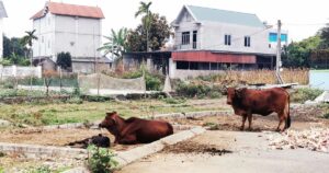 7 3 crop crop 1677467861616