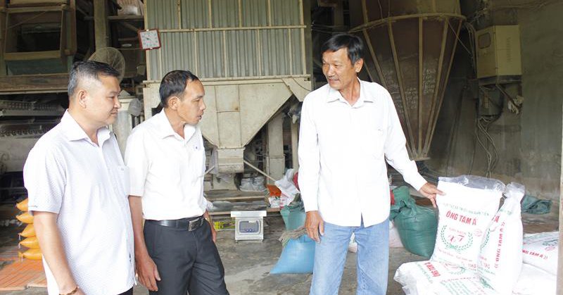 Trồng lúa hữu cơ kiểu gì mà một nông dân Đồng Nai thu tiền tỷ, lúa gặt xong ai cũng muốn mua? 1 969f4adfde97937c8a6ce6cbf90a9e87 2023 02 1609 28 04 1676705088378 16767050891191819688196 71 0 490 800 crop 16767054322071497149522