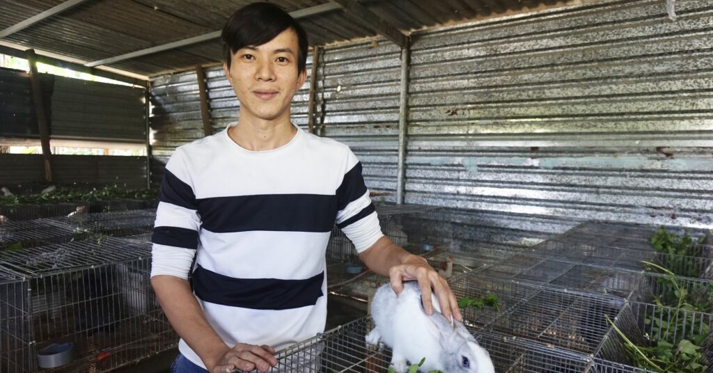 Cắt rau dại nuôi "thú cưng của chị Hằng", nông dân 9X Đà Nẵng kiếm được mấy trăm triệu/năm? 1 hinh 1 16758276365431921823498 70 0 1117 2000 crop 16758320555111366710306