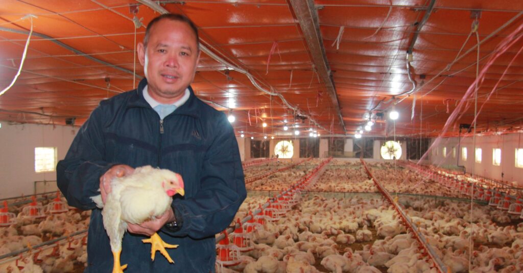 Một nông dân tỷ phú nuôi gà, nuôi thủy sản kiểu gì mà thu 3 tỷ/năm, cả làng khen mát tay? 1 a1 15 1679378806431814185755 25 0 1072 2000 crop 16793790720351126506533
