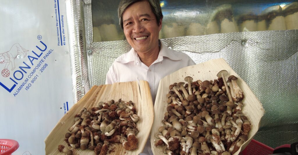 trong nam moi 1679305146636881199563 0 0 1047 2000 crop 1679305795604331321606