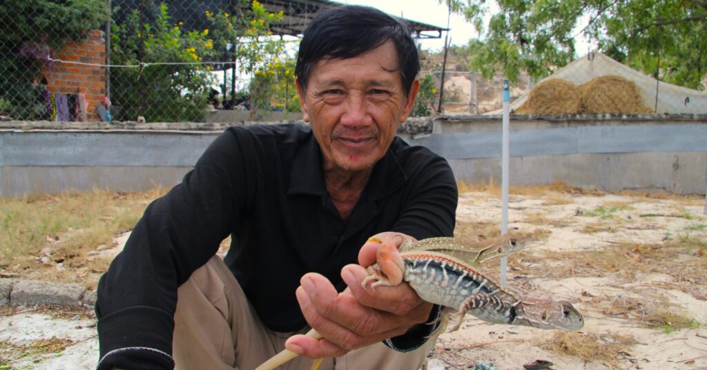 Nuôi con dông trên đồi cát nắng chang chang, nông dân Ninh Thuận có thu nhập "khỏe re" 3 img9735 1680247367291728578040 158 0 1205 2000 crop 1680250454787534215172