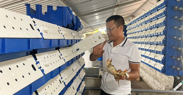 nuoi cua cong nghe cao o ha tinh 1682421960113880701738 0 0 330 630 crop 16824220616291458018051