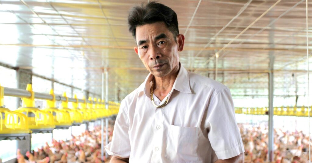 Ông nông dân mơ trứng gà VietGAP đầu tiên của Phú Bình thành thực phẩm "hot" của Thái Nguyên 1 z43662996717285de1f3ed6777b592dc5fe0274761fd8f 16847374234751013709119 56 0 1103 2000 crop 1684738641209285995970